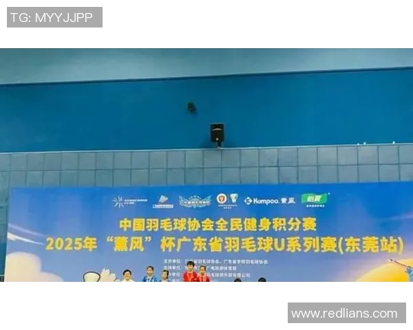 赛后分析：杭州羽毛球队与深圳羽毛球队在灵活性上的较量与启示