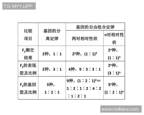 足球明星儿子身高揭秘与父亲的遗传基因关系分析