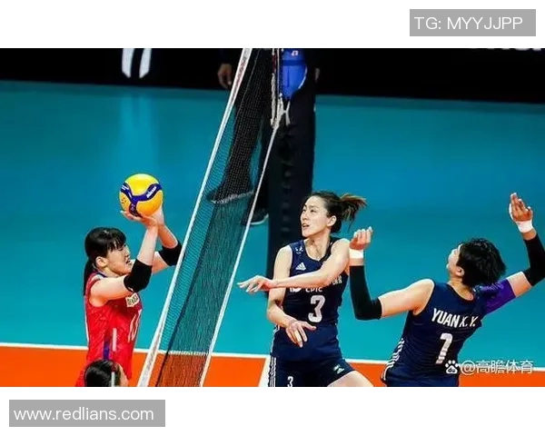 广州排球队运营解析：探索其成功背后的策略与挑战