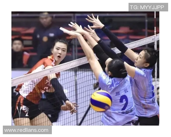 重庆排球队团队协作引发热议球迷对战术配合和默契度的不同看法