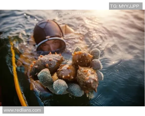 海参哥究竟是谁他与足球明星之间的神秘联系揭秘 海参哥究竟是谁他与足球明星之间的神秘联系揭秘