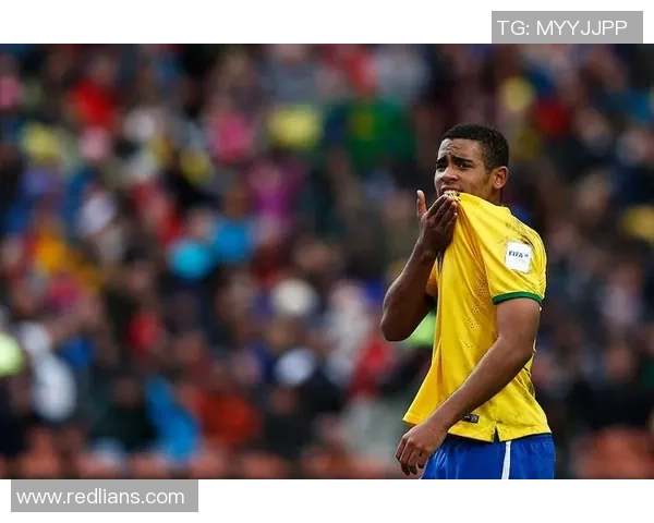 足球明星内磊的成长历程与辉煌成就全解析