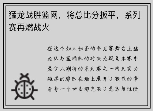 猛龙战胜篮网，将总比分扳平，系列赛再燃战火