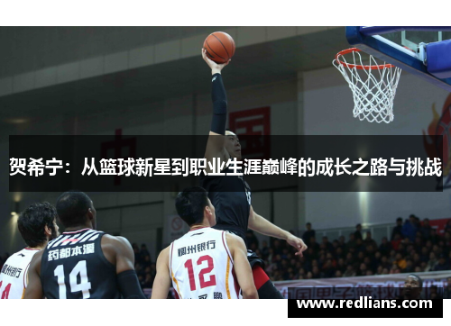 贺希宁：从篮球新星到职业生涯巅峰的成长之路与挑战